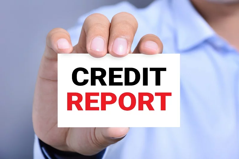 raport kredytowy